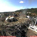 17_20-nest.jpg