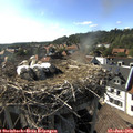 17_25-nest.jpg