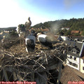 17_55-nest.jpg