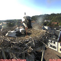 18_30-nest.jpg