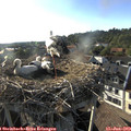 18_40-nest.jpg