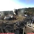 18_45-nest.jpg