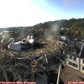 19_00-nest.jpg