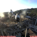 20_00-nest.jpg