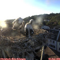 20_05-nest.jpg