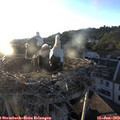 20_10-nest.jpg