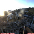 20_40-nest.jpg