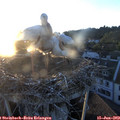 20_55-nest.jpg