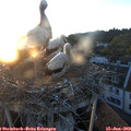 21_05-nest.jpg