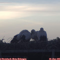 05_35-mast.jpg