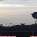 06_10-mast.jpg