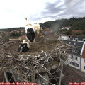 09_00-nest.jpg