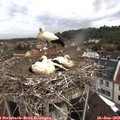 10_05-nest.jpg