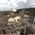 10_10-nest.jpg
