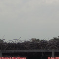 11_45-mast.jpg