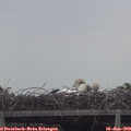 12_00-mast.jpg
