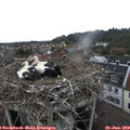 12_20-nest.jpg
