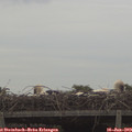 16_20-mast.jpg