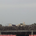 17_00-mast.jpg