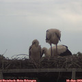 18_30-mast.jpg