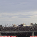 19_15-mast.jpg