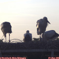 05_50-mast.jpg