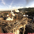 07_45-nest.jpg