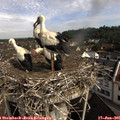 09_35-nest.jpg