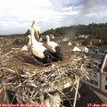 09_55-nest.jpg