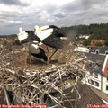 12_30-nest.jpg