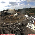 16_20-nest.jpg
