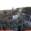 20_20-nest.jpg