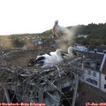 20_25-nest.jpg