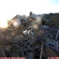 20_55-nest.jpg