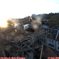 21_00-nest.jpg