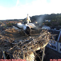 06_00-nest.jpg