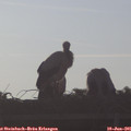 07_00-mast.jpg