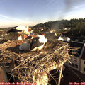07_40-nest.jpg
