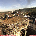 08_25-nest.jpg