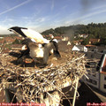 09_45-nest.jpg