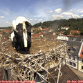 11_45-nest.jpg