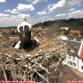 13_10-nest.jpg