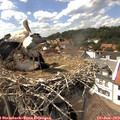 15_05-nest.jpg