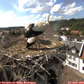 16_40-nest.jpg