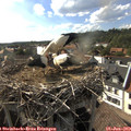 17_30-nest.jpg