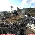 18_10-nest.jpg