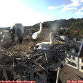 18_40-nest.jpg