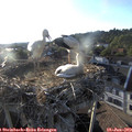 19_30-nest.jpg