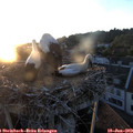 21_00-nest.jpg