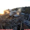 21_05-nest.jpg